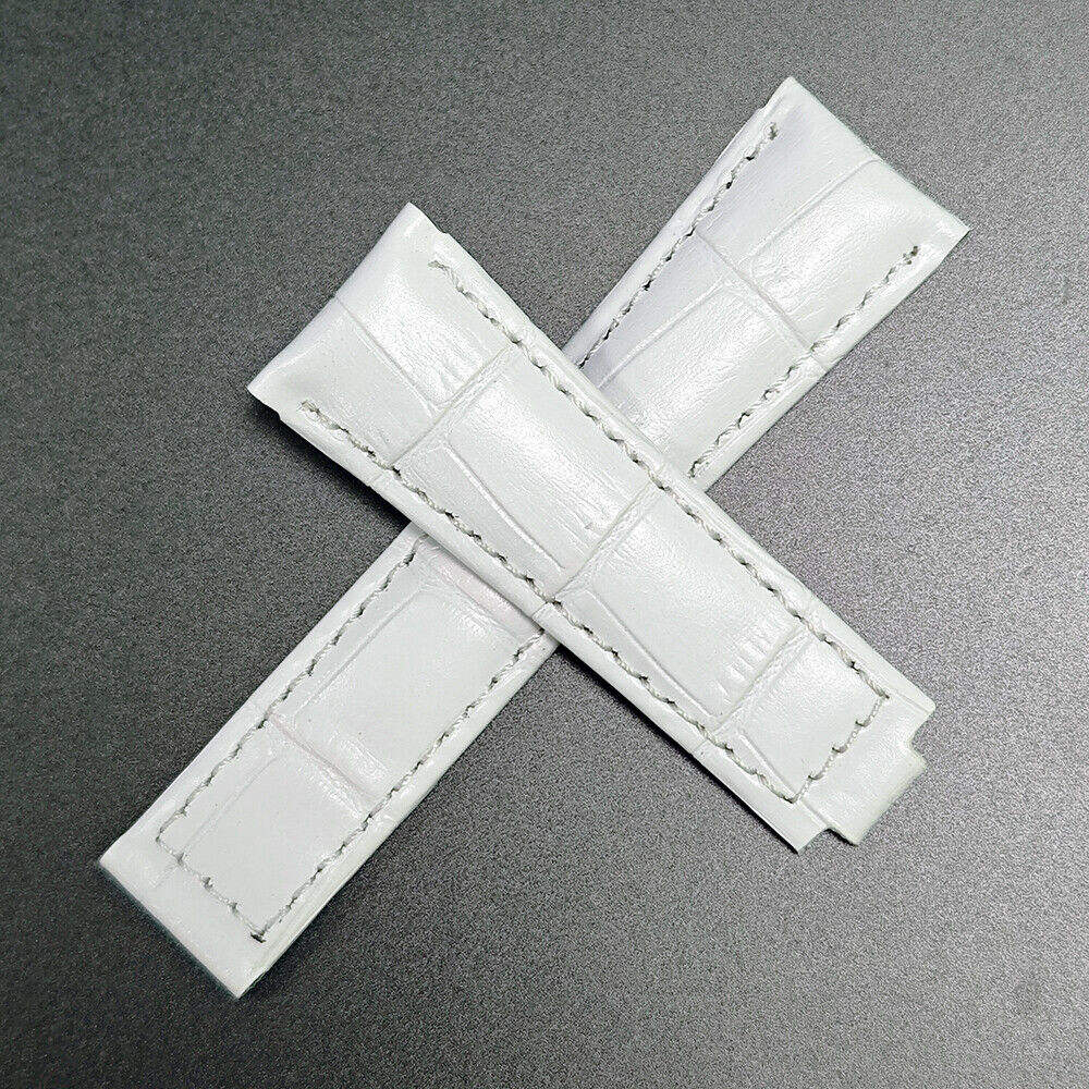 25026.2.jpg