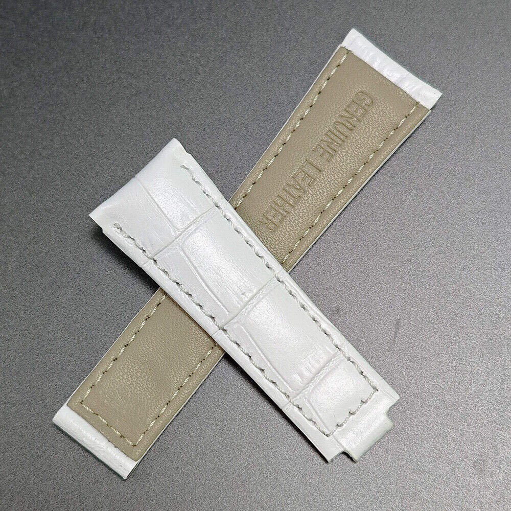 25026.3.jpg